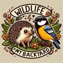 Wildlife in my Backyard